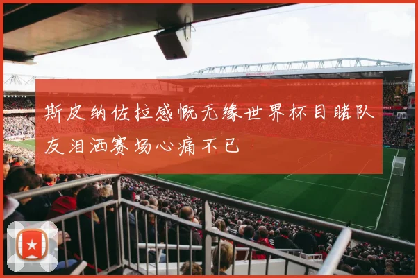 斯皮纳佐拉感慨无缘世界杯目睹队友泪洒赛场心痛不已