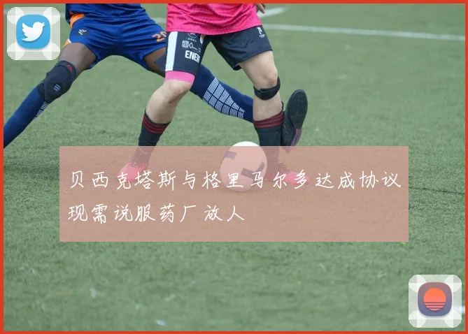 贝西克塔斯与格里马尔多达成协议现需说服药厂放人